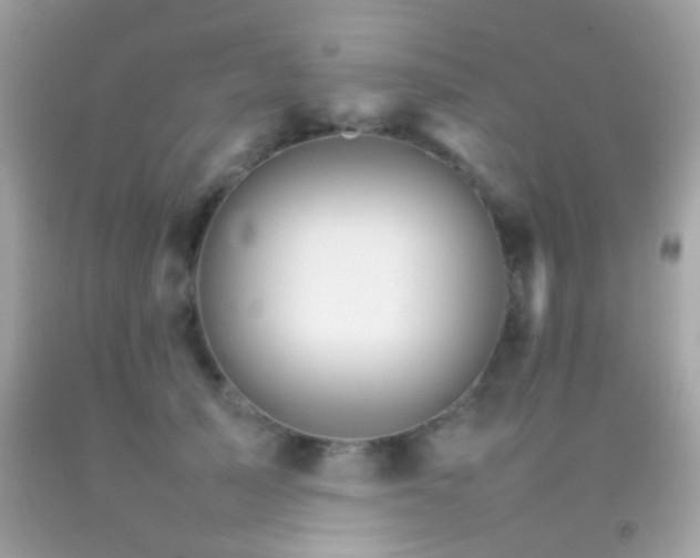 X0000092070705200709121416
