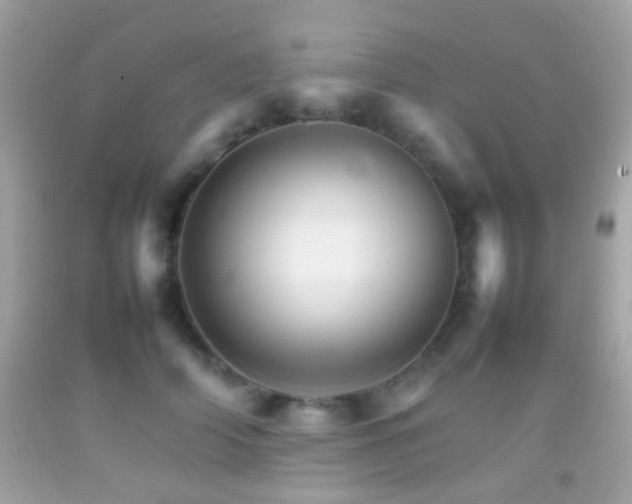 X0000092070706200709121416