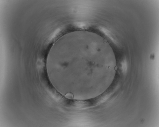 X0000092070707200709121416