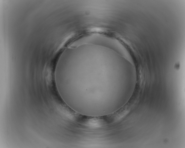 X0000092070708200709121416