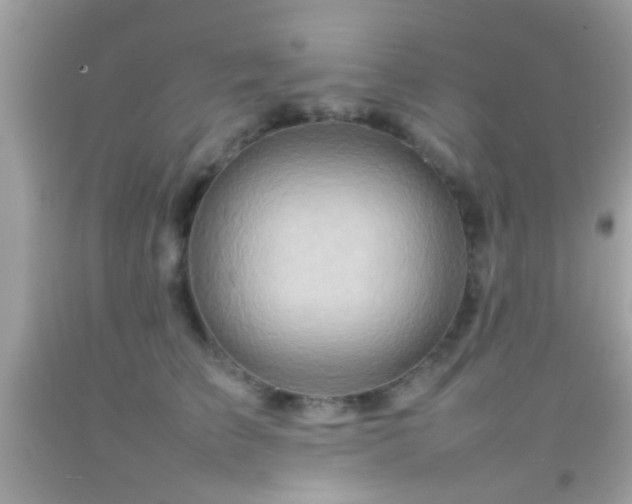X0000092070709200709121416