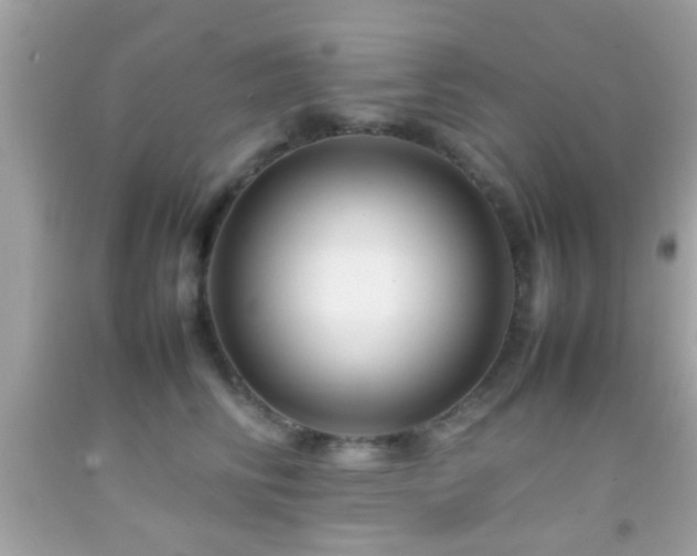 X0000092070710200709121416