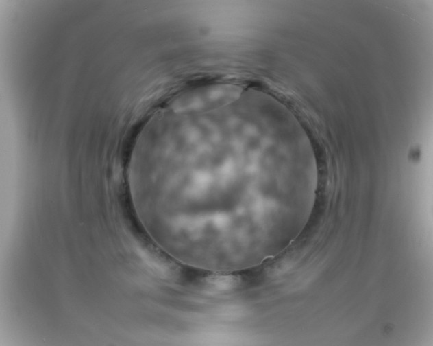 X0000092070711200709121416