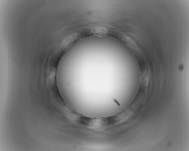 X0000092070717200709121416