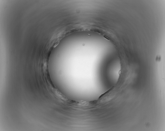 X0000092070720200709121416