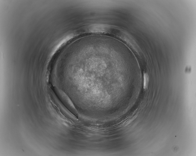 X0000092070723200709121415