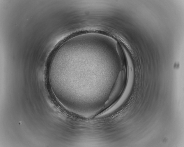 X0000092070724200709121415