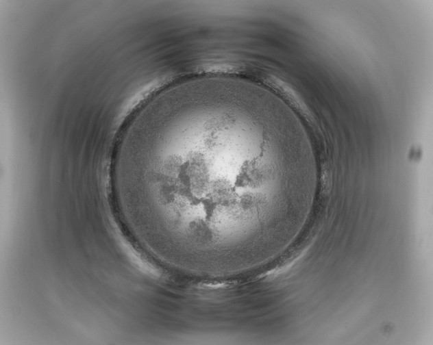 X0000092070725200709121415