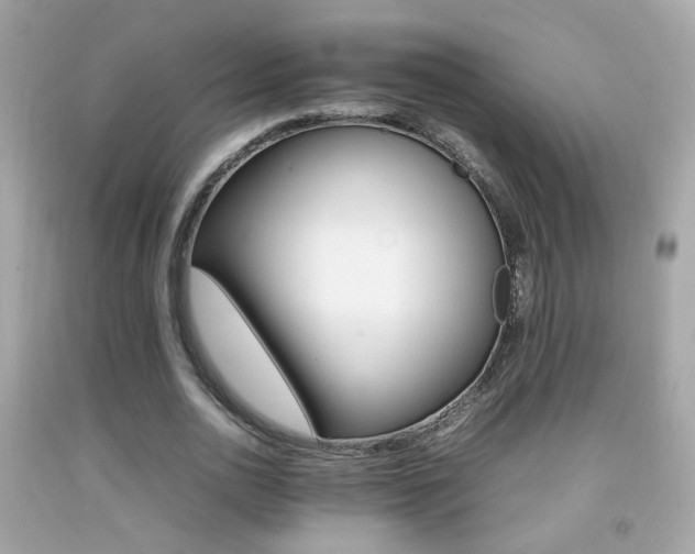 X0000092070726200709121415