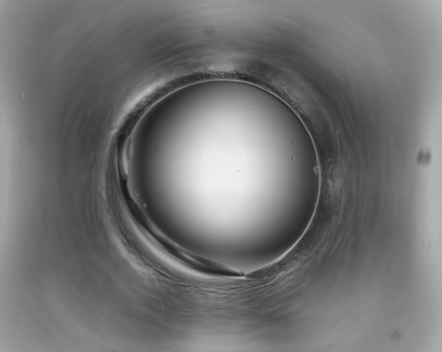 X0000092070728200709121415