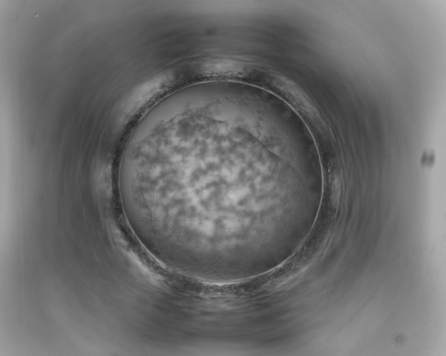 X0000092070729200709121415