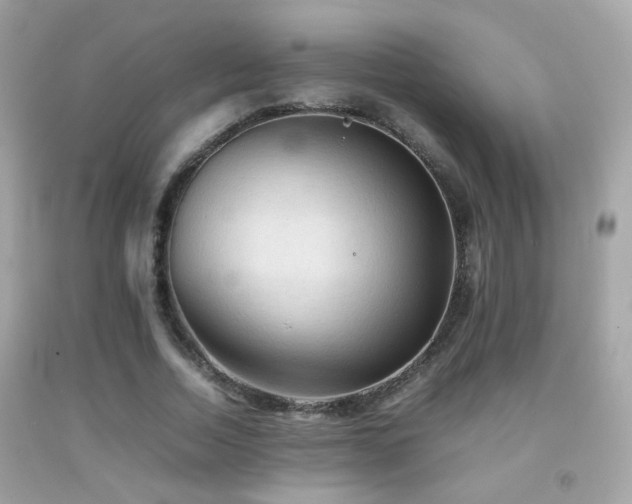 X0000092070730200709121415