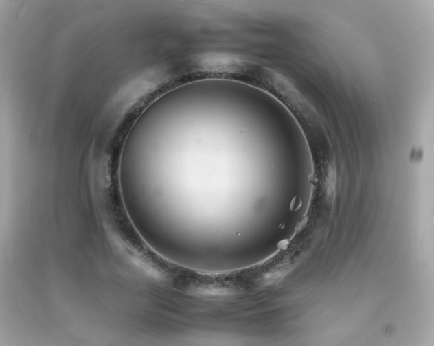 X0000092070731200709121415