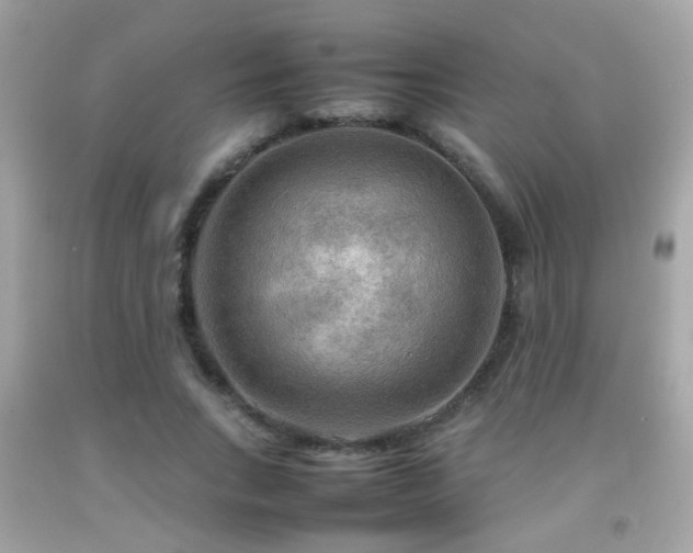 X0000092070735200709121415