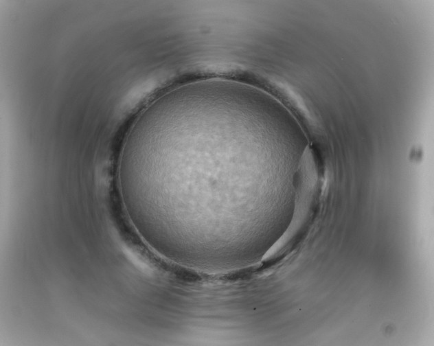 X0000092070736200709121415