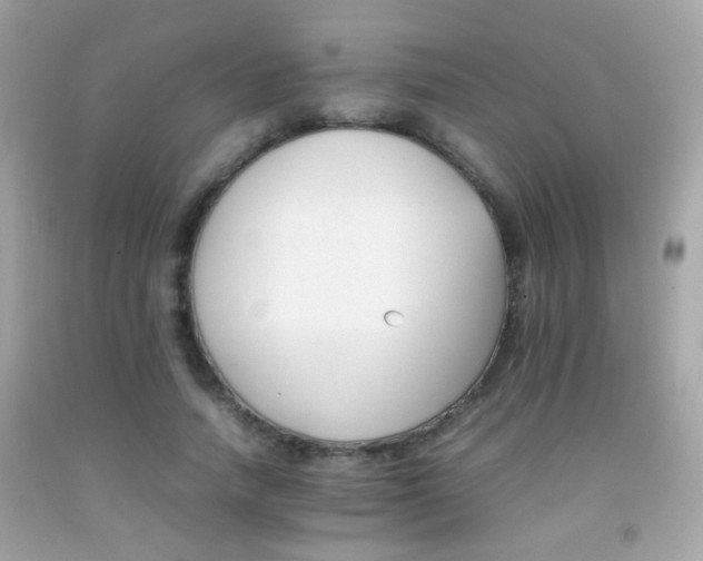 X0000092070738200709121415
