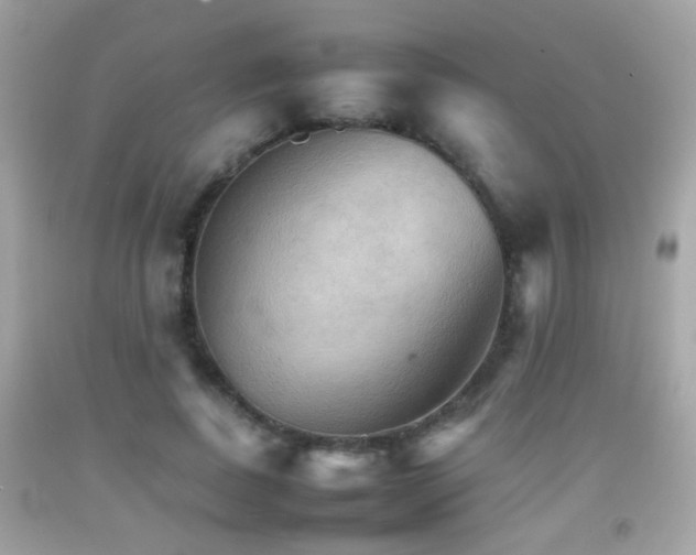 X0000092070739200709121415