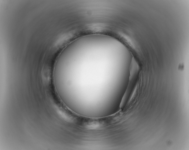 X0000092070740200709121415