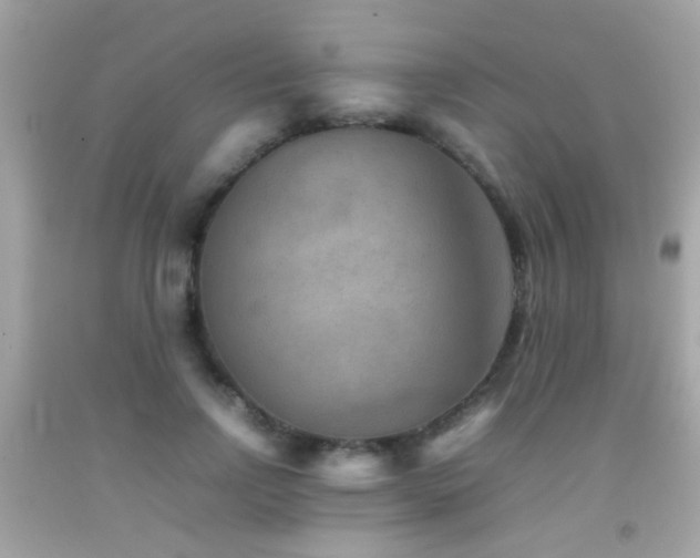 X0000092070742200709121415