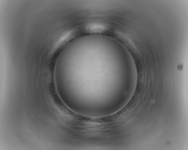 X0000092070743200709121415
