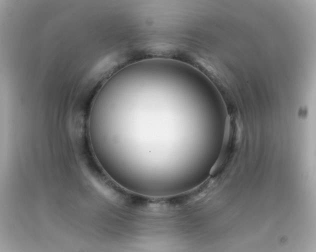 X0000092070744200709121415