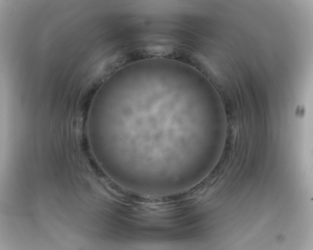 X0000092070745200709121415