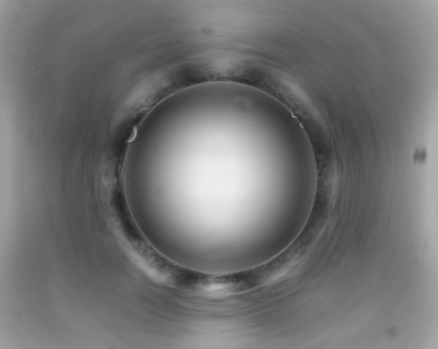 X0000092070746200709121415