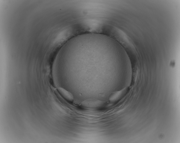 X0000092070748200709121416