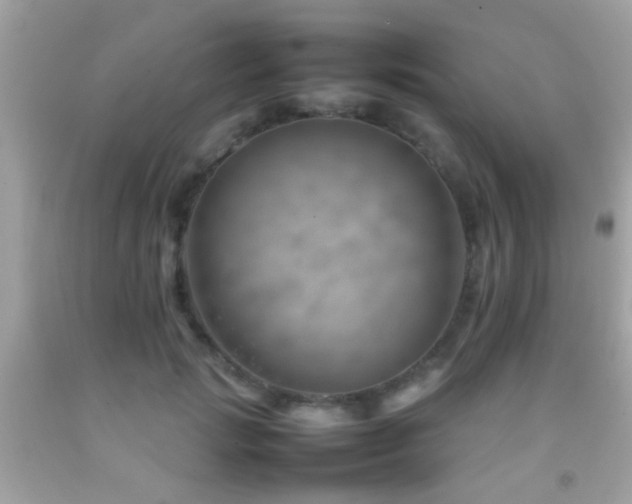 X0000092070749200709121416
