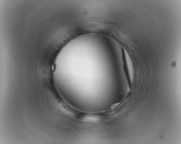 X0000092070750200709121416