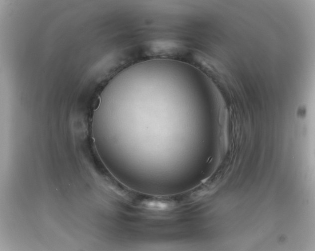 X0000092070751200709121416