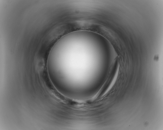 X0000092070752200709121416
