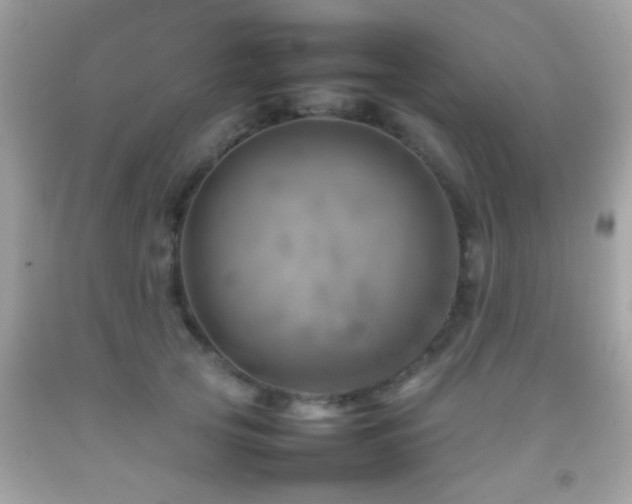 X0000092070753200709121416