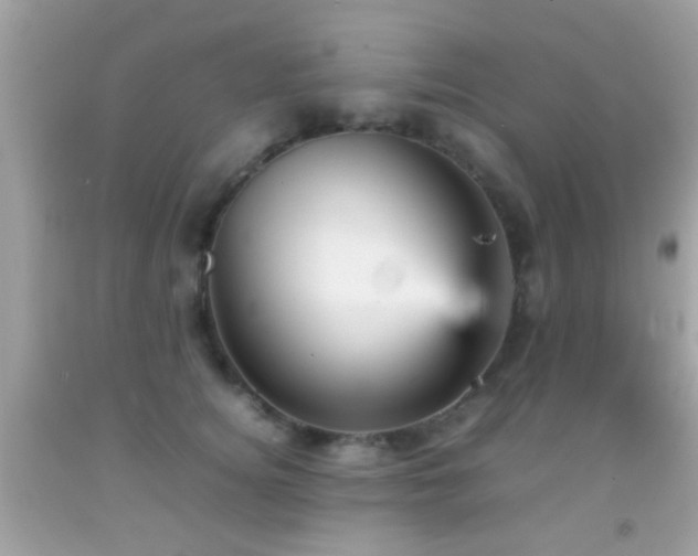 X0000092070756200709121416