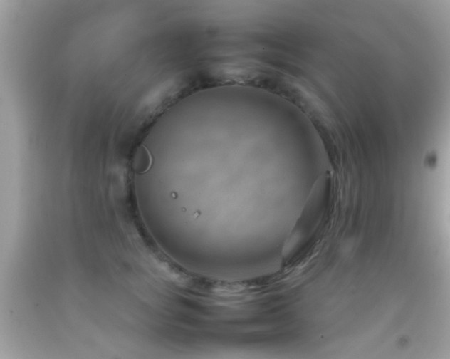 X0000092070757200709121416