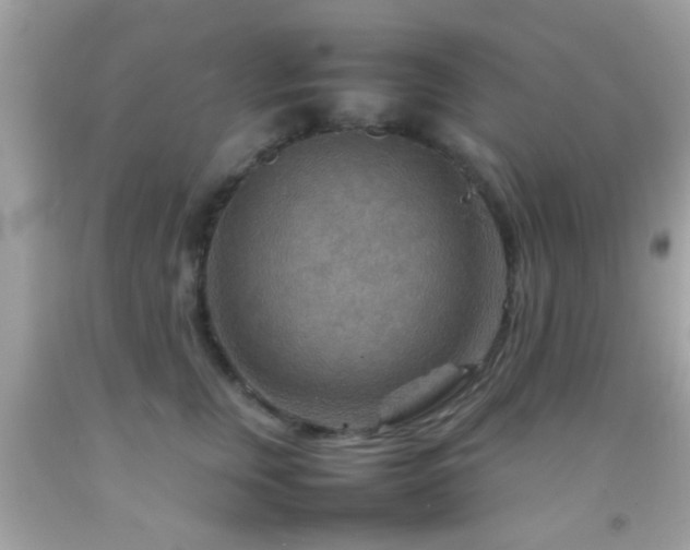 X0000092070759200709121416