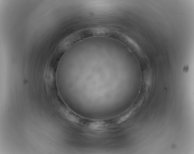 X0000092070761200709121416