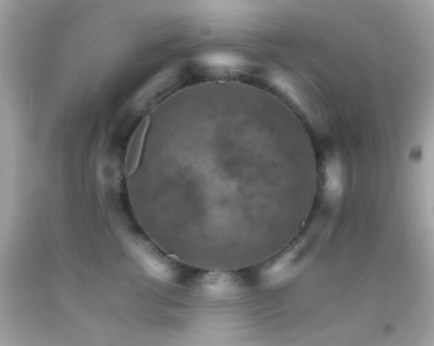 X0000092070762200709121416