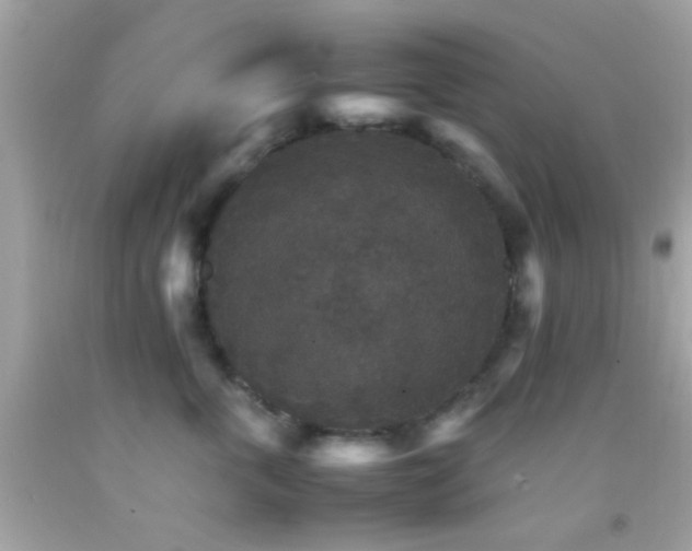 X0000092070763200709121416