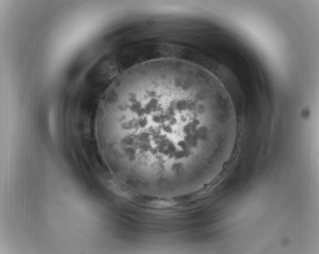 X0000092070765200709121416