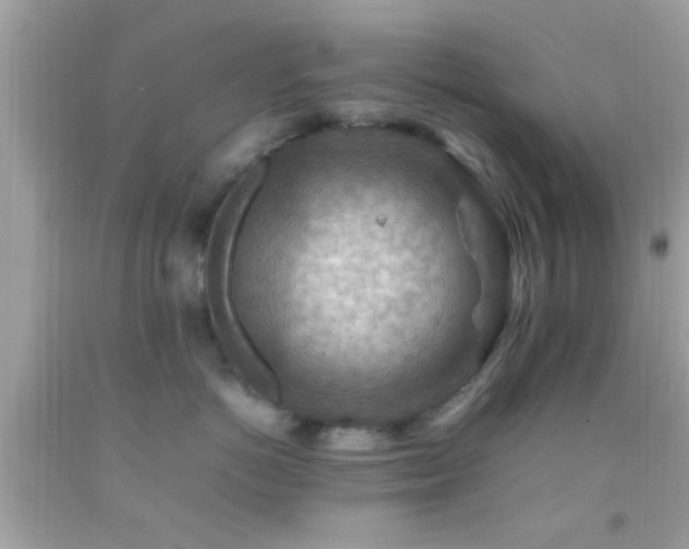 X0000092070766200709121416