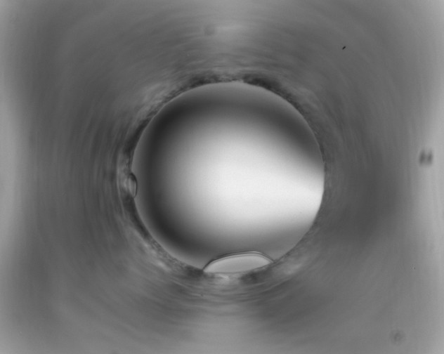 X0000092070768200709121416