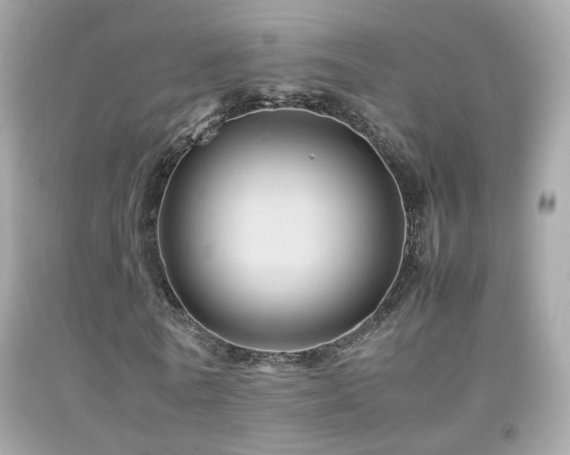 X0000092070770200709121415