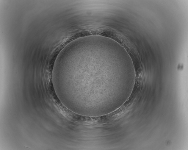X0000092070772200709121415