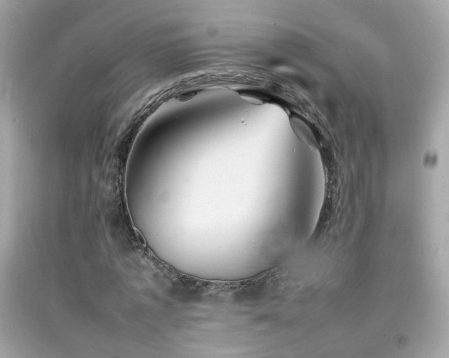 X0000092070773200709121415
