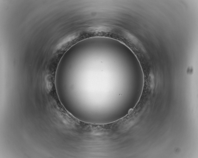 X0000092070774200709121415