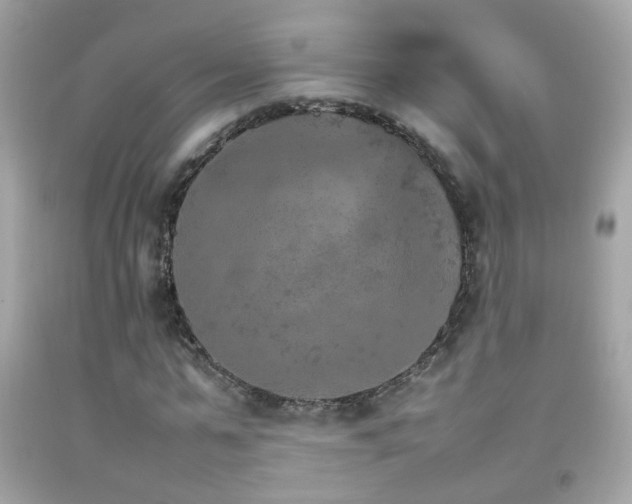 X0000092070775200709121415
