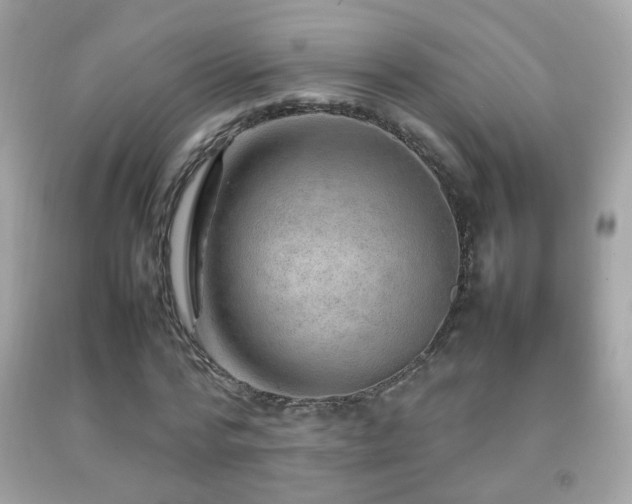 X0000092070776200709121415