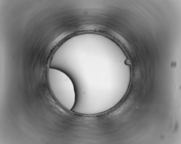 X0000092070778200709121415
