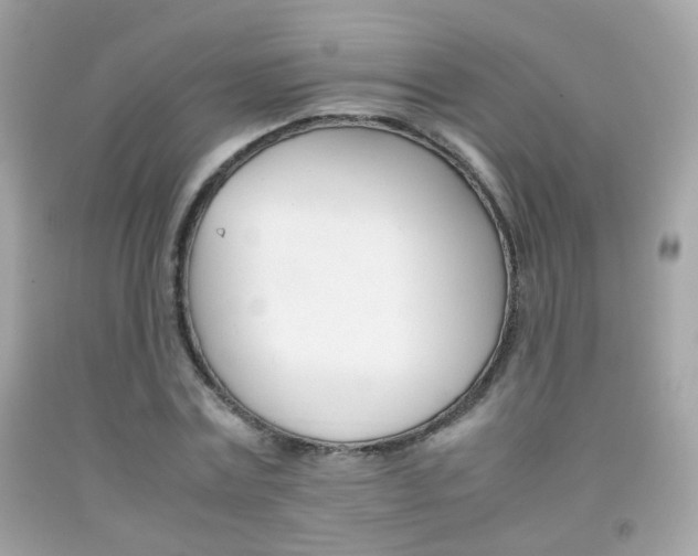 X0000092070779200709121415